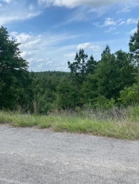 Lot 4 Kainalu Ln, Bastrop, TX 78602 - #1