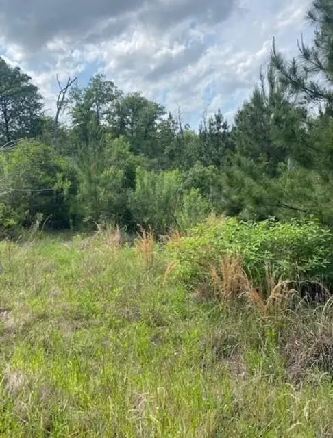 Lot 4 Kainalu Ln, Bastrop, TX 78602 - #3
