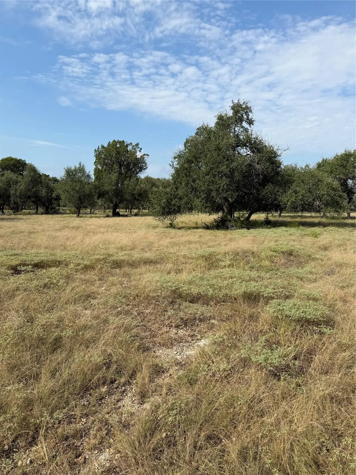 1911 Wayside Dr, Wimberley, TX 78676 - #1