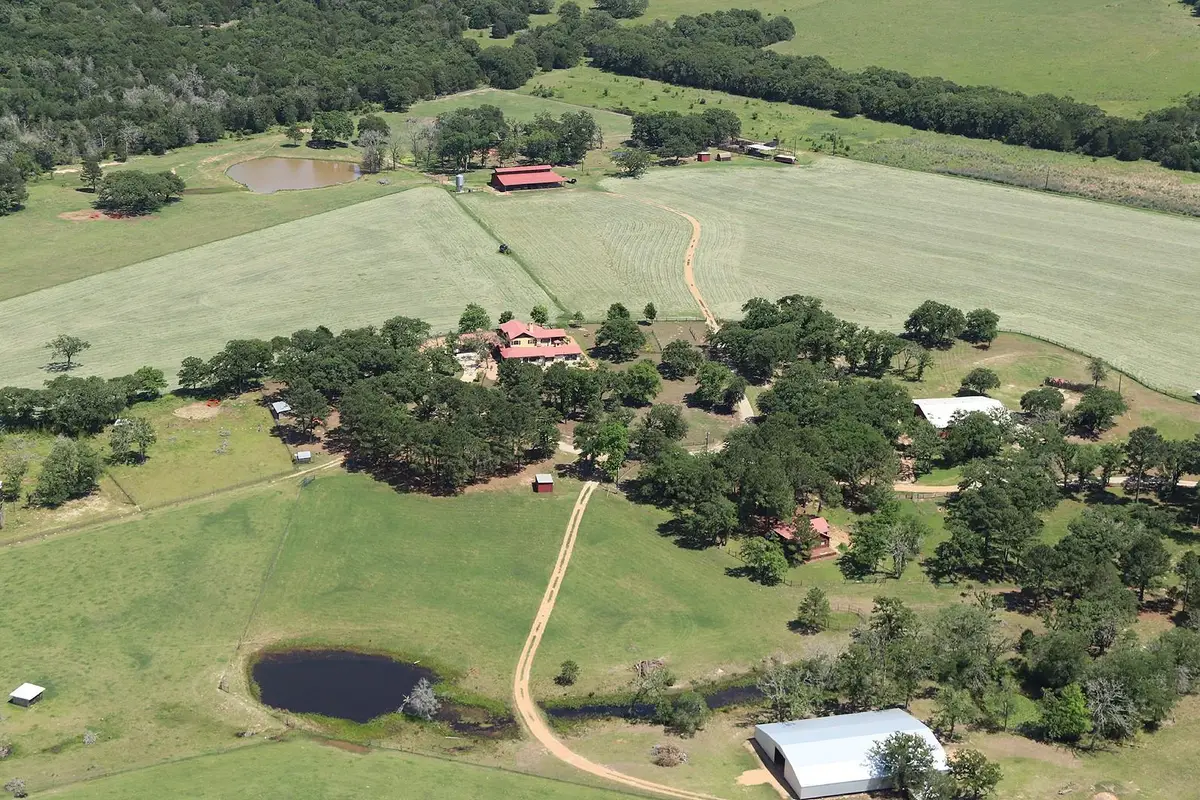 363 Paint Creek South Rd #A, Paige, TX 78659 - #1