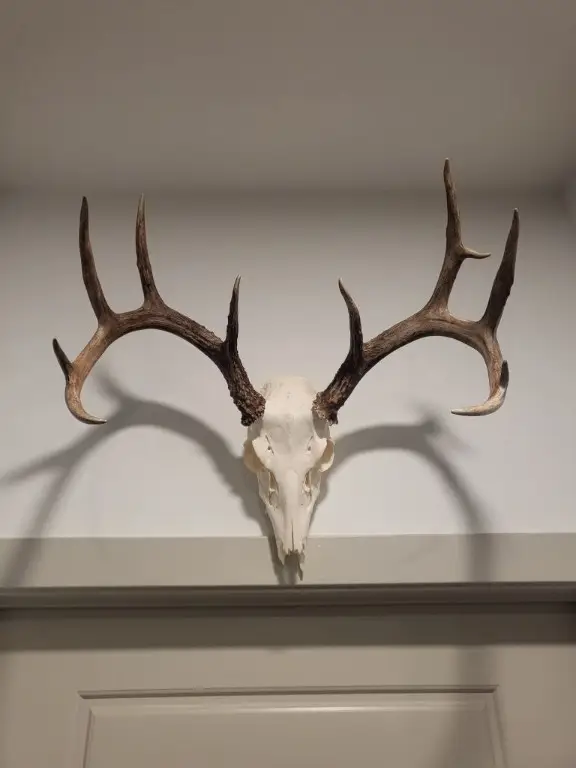 000 Tbd, Cameron, TX 76511 - Image #3