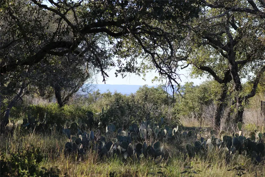 316 Crestview Vw, Horseshoe Bay, TX 78657 - #3
