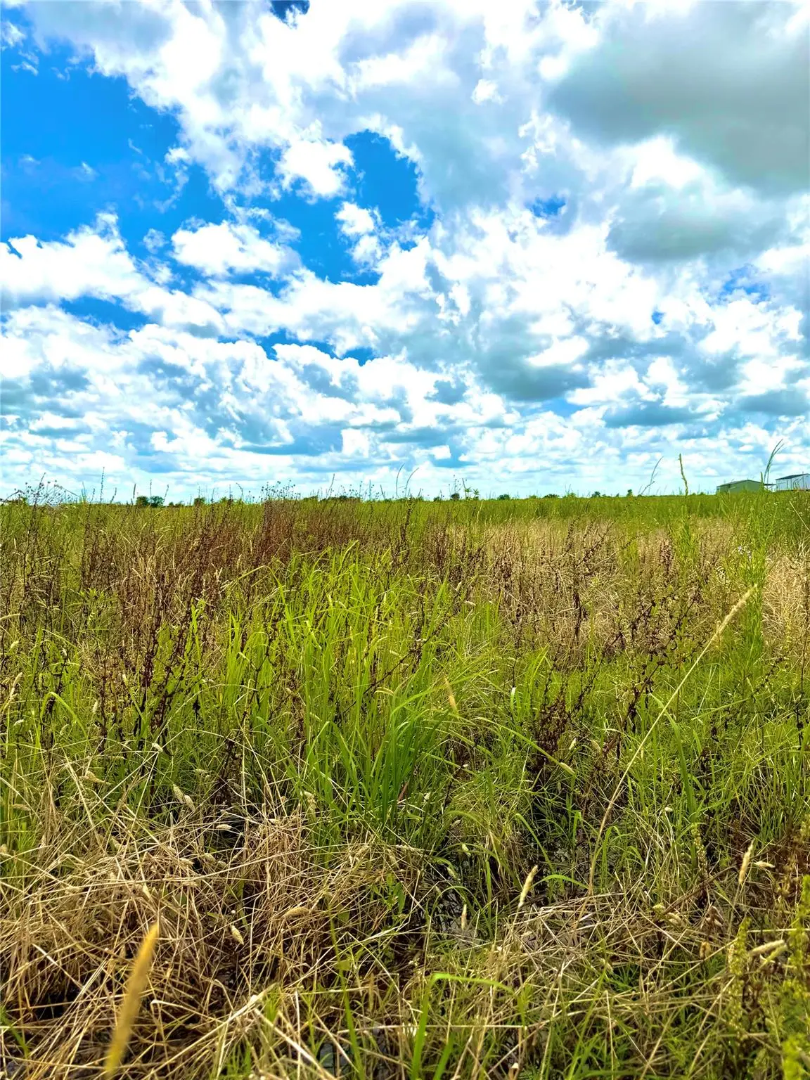 TBD Tract 4 Beal Rd, Eagle Lake, TX 77434 - #1