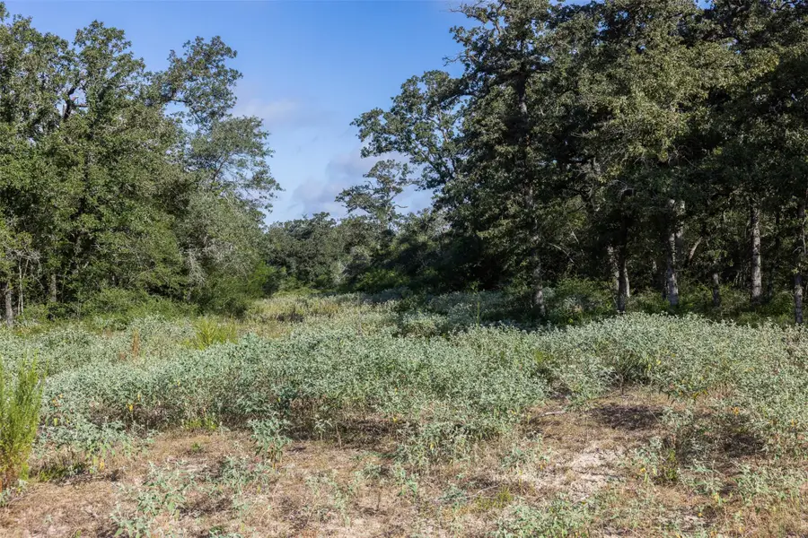 180 Autumn Oak Ct, Caldwell, TX 77836 - #2