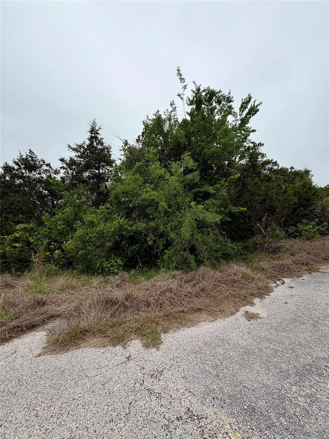 8903 Eagle Pass, Lago Vista, TX 78645 - #1