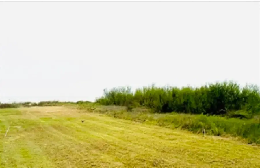 995 Alicia Dr, Galveston, TX 77617 - #2