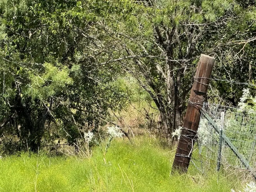 10.15 AC Fm 2409 Rd, Temple, TX 76504 - #3