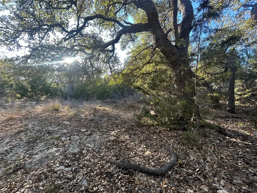 934 Beauchamp Rd, Dripping Springs, TX 78620 - #3