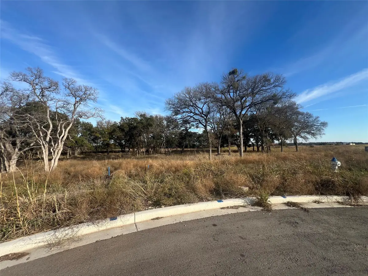 115 W Rio Ranch Rd, Liberty Hill, TX 78642 - #1