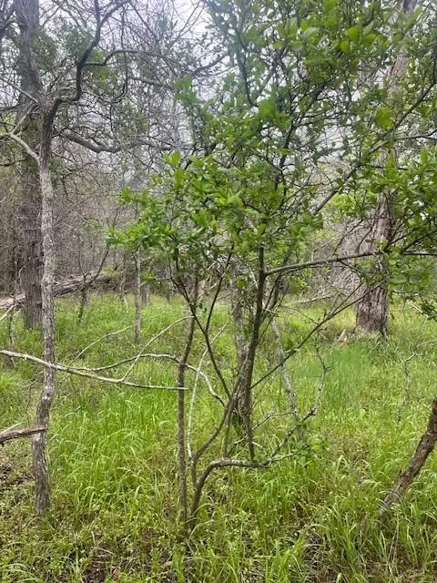 Lot 628 Hilea Ct, Bastrop, TX 78602 - #1