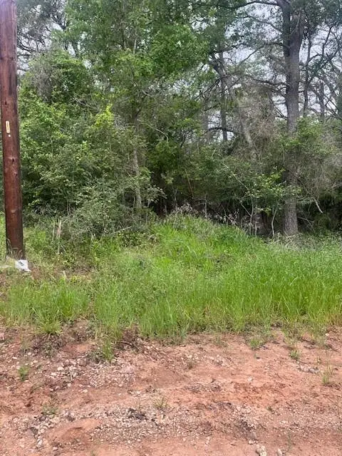 Lot 628 Hilea Ct, Bastrop, TX 78602 - #3
