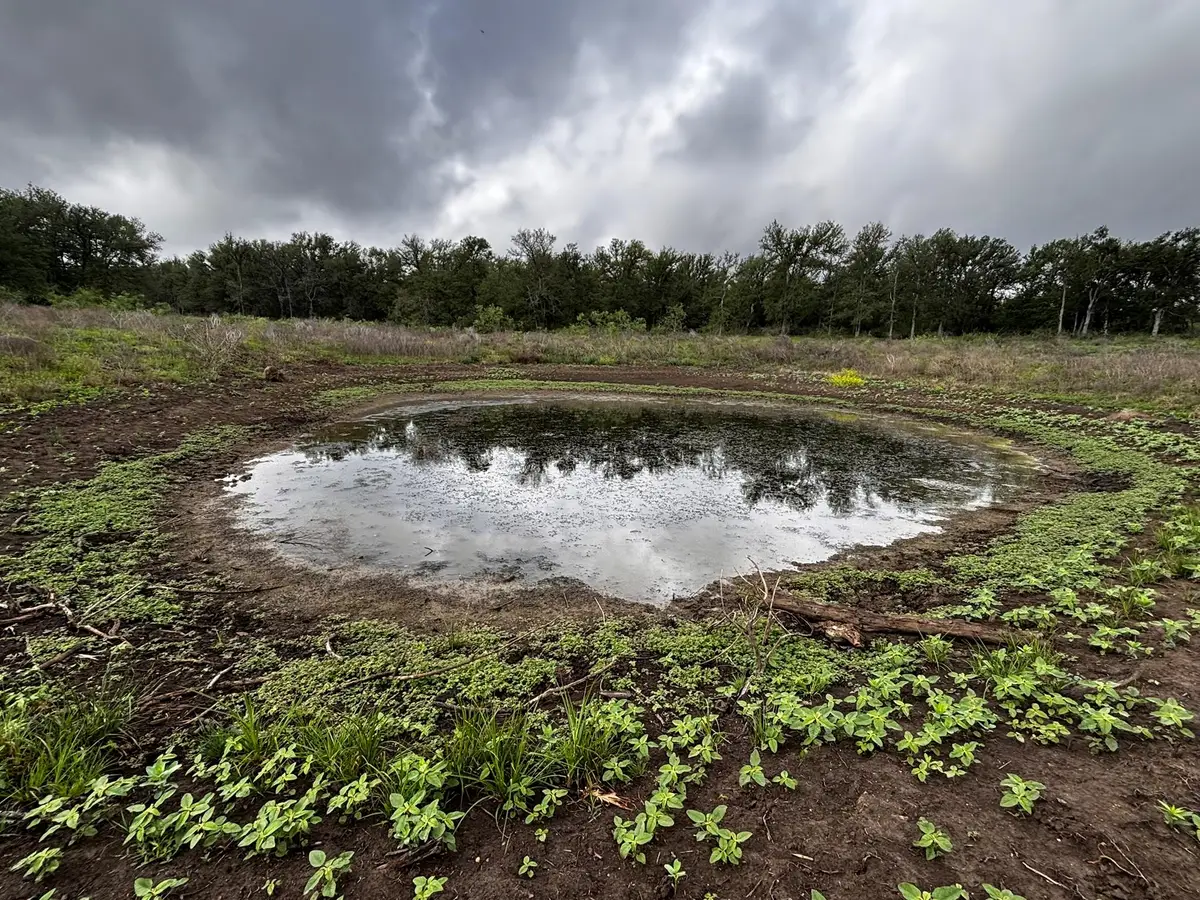 747 County Road 467, Thrall, TX 76578 - #1