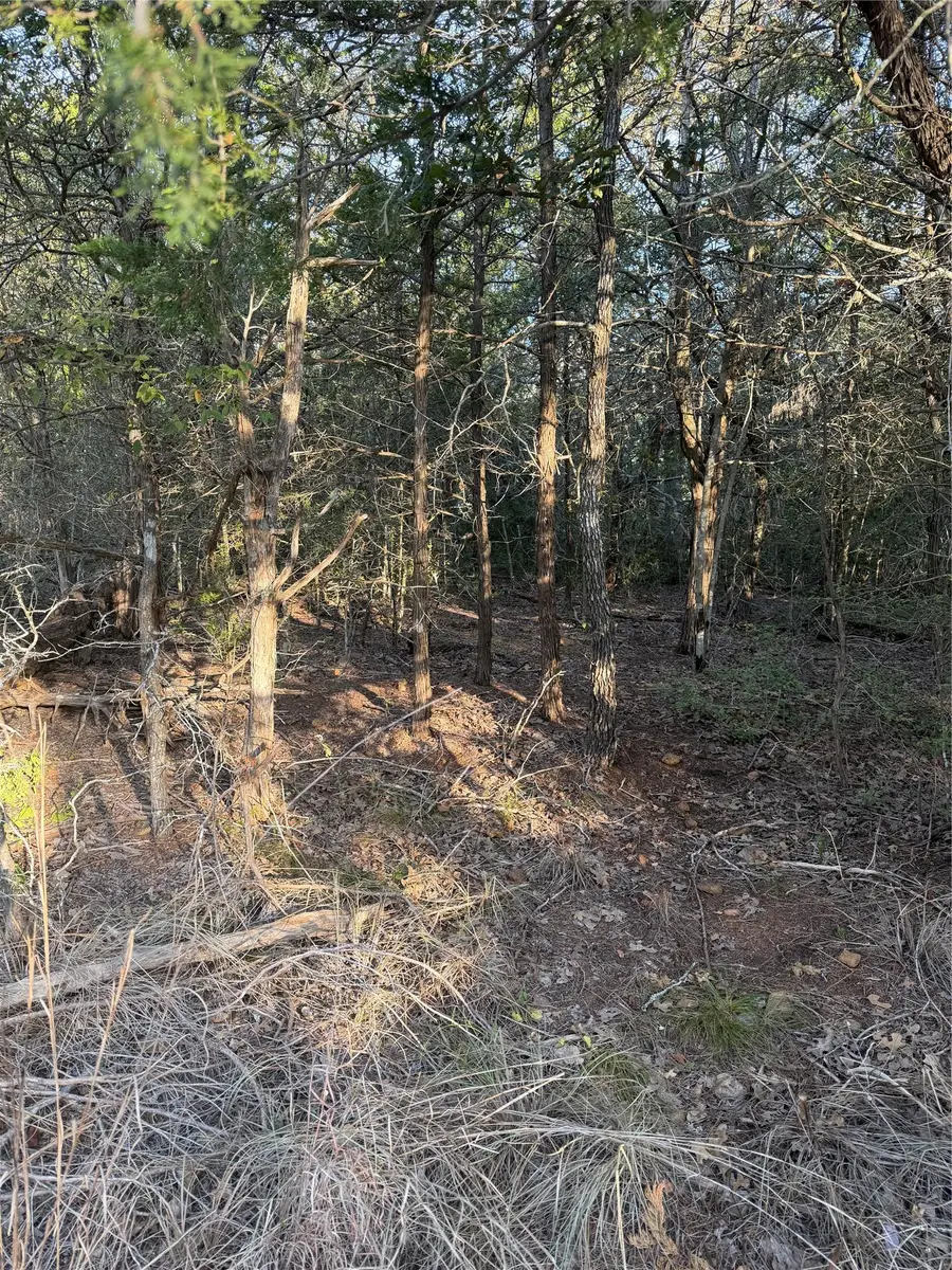 160 Helemano Dr, Bastrop, TX 78602 - #3