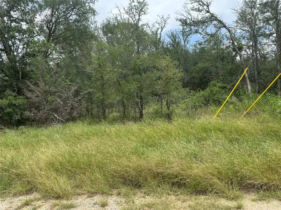 189 Puu Waa Waa Ln, Bastrop, TX 78602 - #2