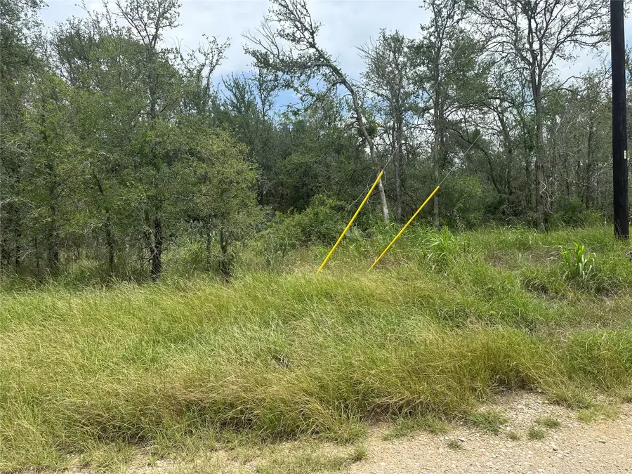 189 Puu Waa Waa Ln, Bastrop, TX 78602 - #3