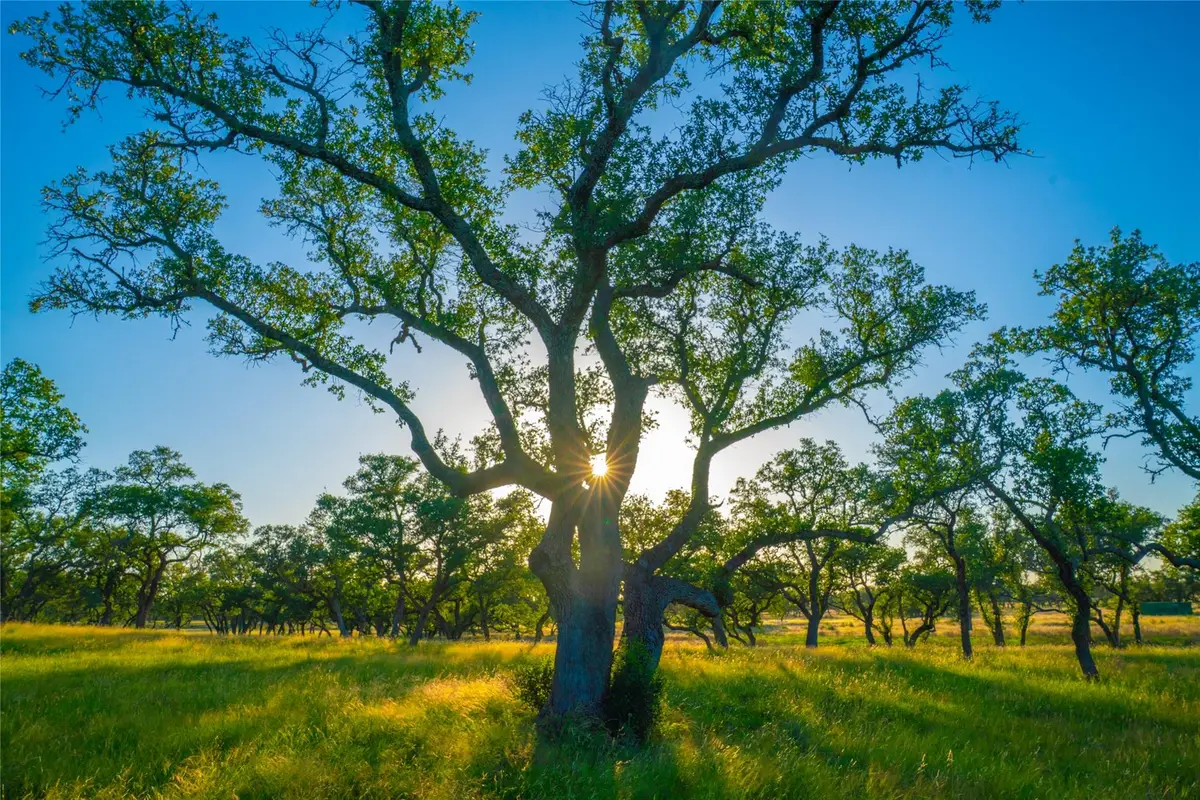 0 Bountiful Oaks Ranch, Johnson City, TX 78636 - #1