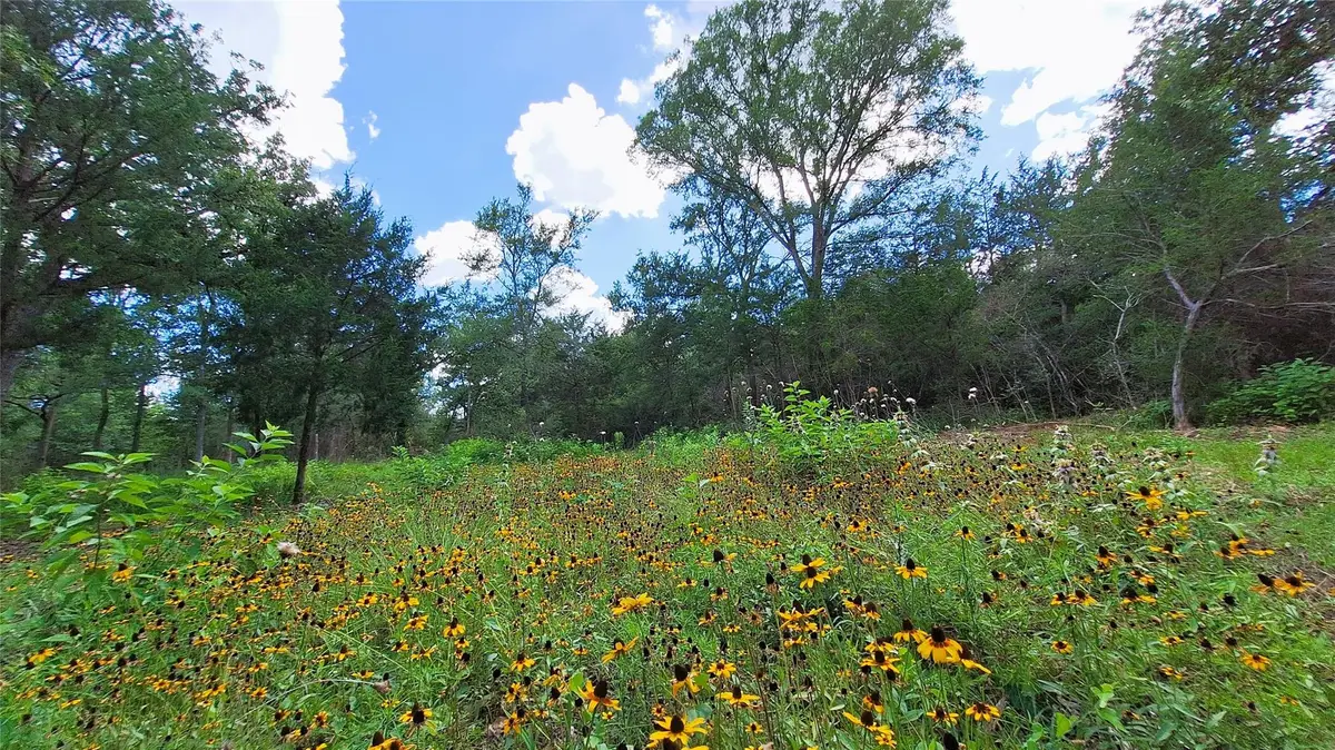 1014 Beaver Lake Dr, Caldwell, TX 77836 - #1
