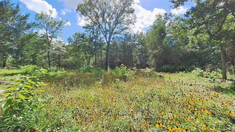 1014 Beaver Lake Dr, Caldwell, TX 77836 - #2