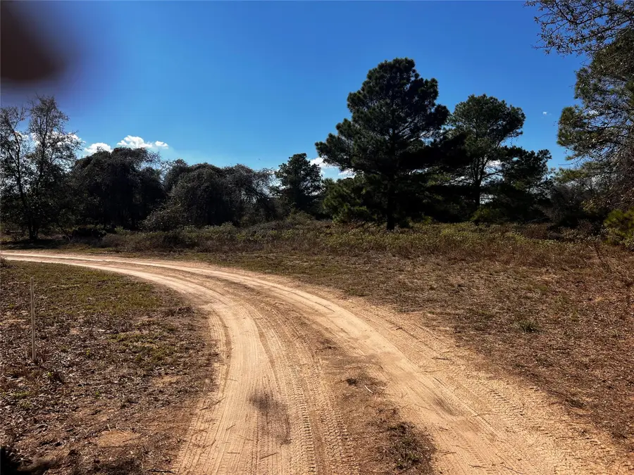 411 Laura Ln, Bastrop, TX 78602 - Image #3