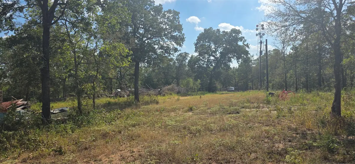 116 Red Oaks Dr, Dale, TX 78616 - Image #1