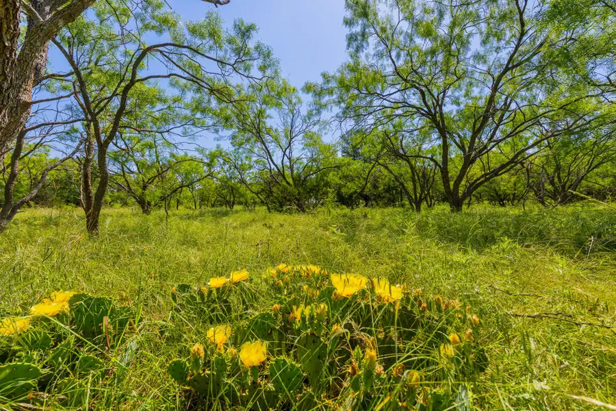 TBD Twin Draw County Road 180 Rd, Purmela, TX 76566 - #2