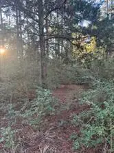 107 Lake Point Way, Bastrop, TX 78602