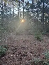 107 Lake Point Way, Bastrop, TX 78602 - #3