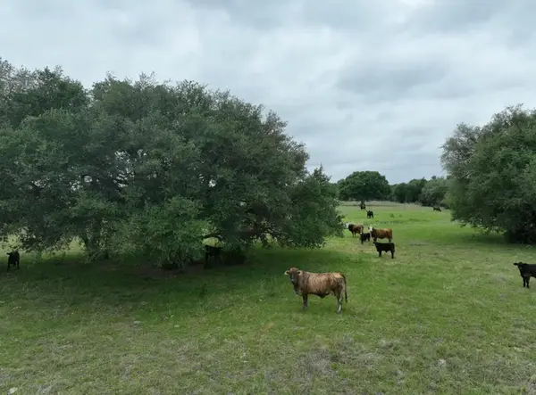 TBD Lot 3 County Road 127 Rd, Ledbetter, TX 78946