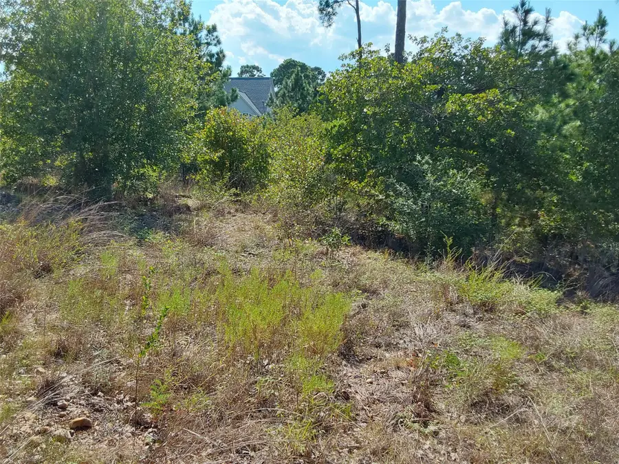 128 Mokalau Dr, Bastrop, TX 78602 - #2