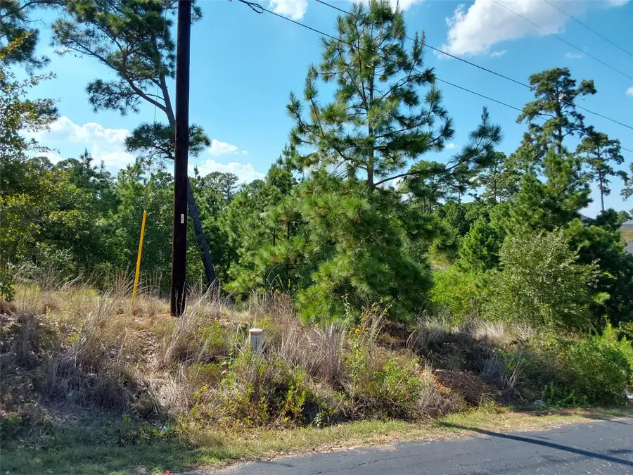 128 Mokalau Dr, Bastrop, TX 78602 - #3