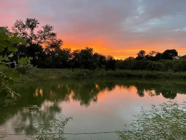 5571 Fm 535, Cedar Creek, TX 78612 - Image #1