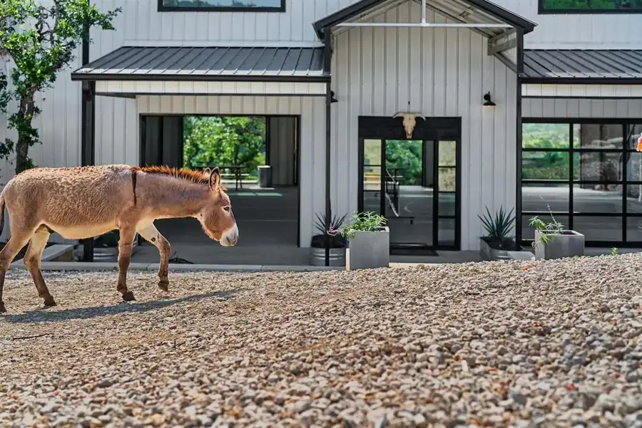 12701 Trails End Rd, Leander, TX 78641 - Image #3