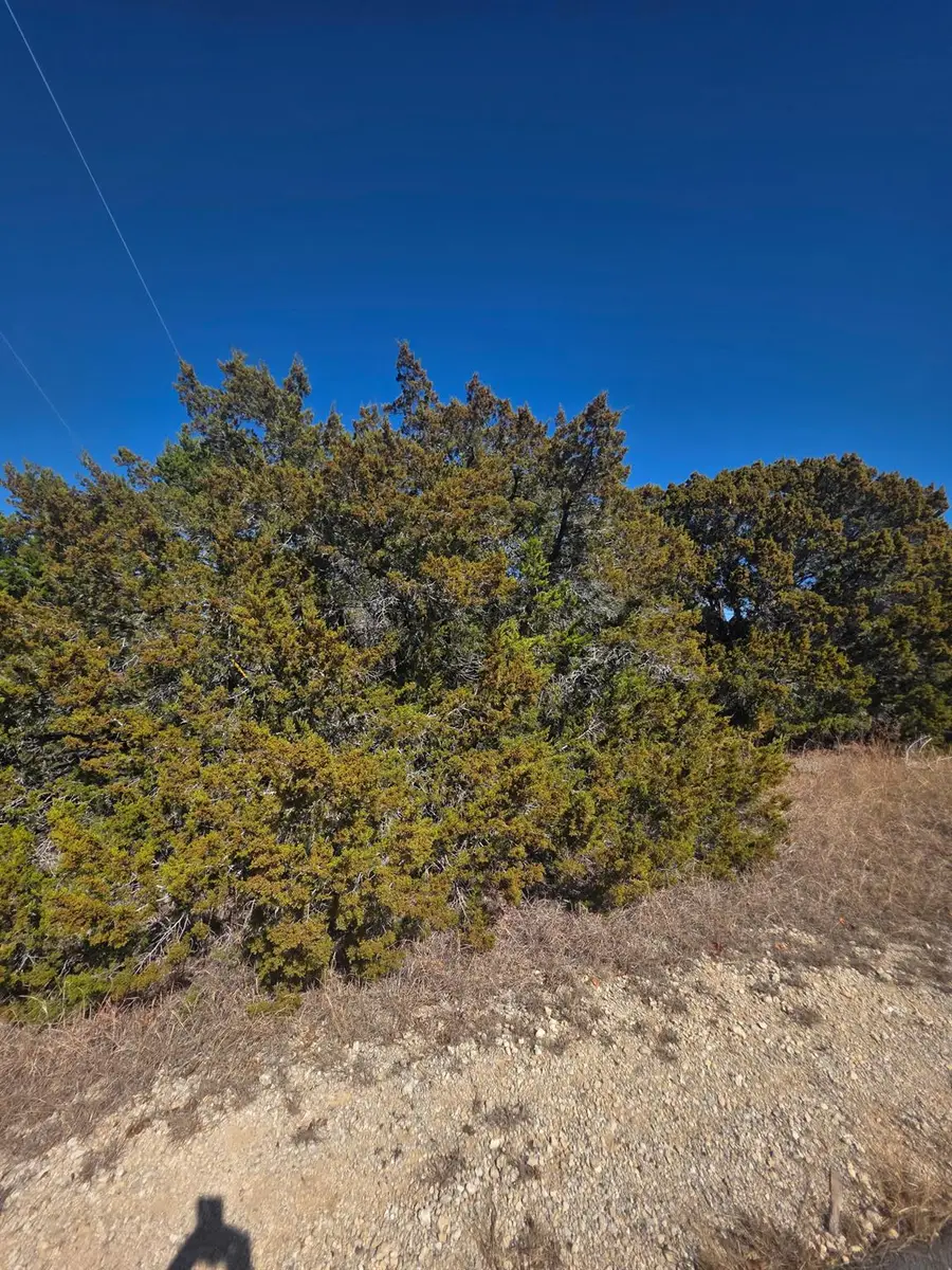 6909 Cedar Ridge Dr, Lago Vista, TX 78645 - #2