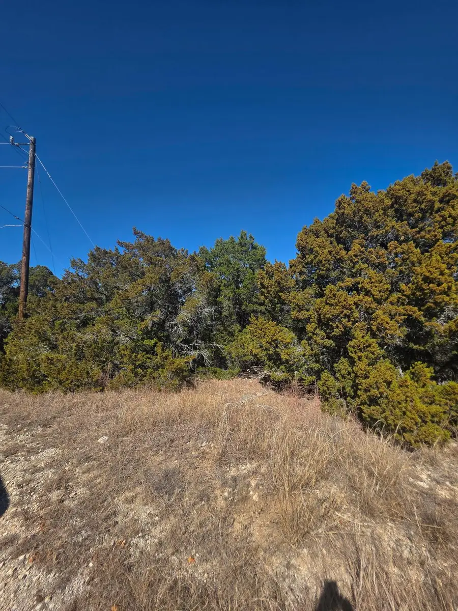 6909 Cedar Ridge Dr, Lago Vista, TX 78645 - #3