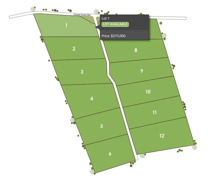 1115 Tract 4 - County Road 204 Rd, Burnet, TX 78611 - #3