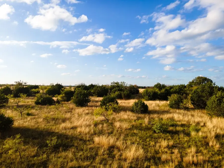 Lot 155 Heartleaf Dr, Lampasas, TX 76550 - Image #3