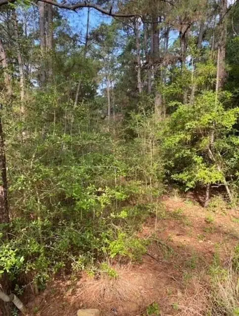 Lot 93 Papawai Dr, Bastrop, TX 78602 - #3