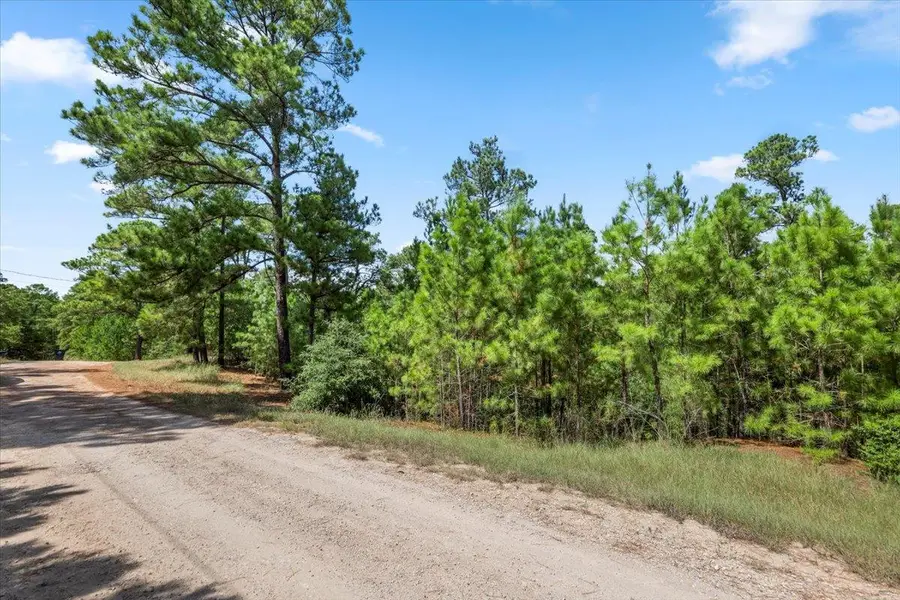 Lot 986 Kailua L Ln, Bastrop, TX 78602 - #3