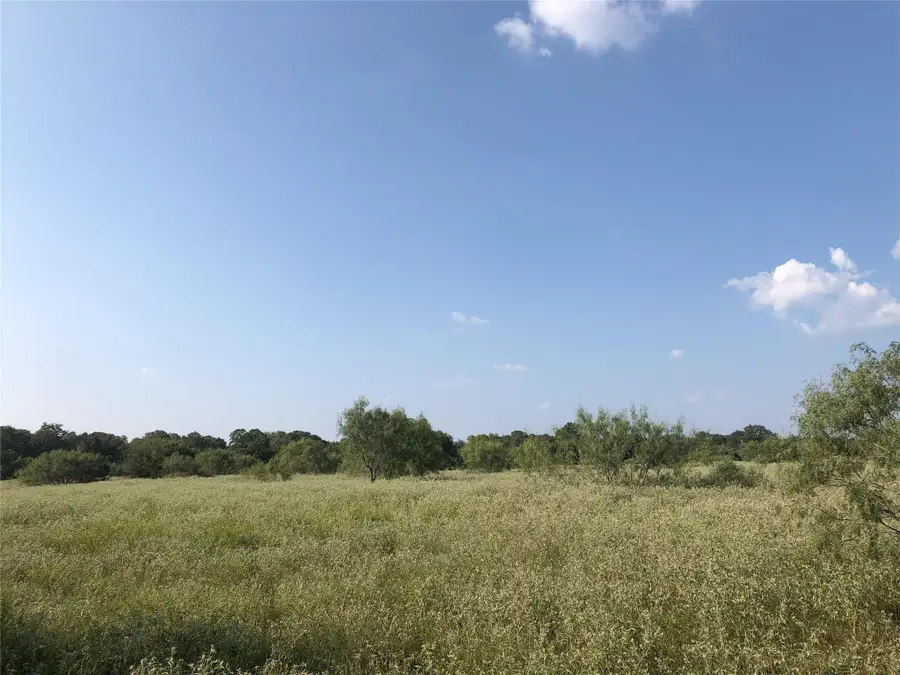 370 Wild Plum Rd, Lockhart, TX 78644 - #2