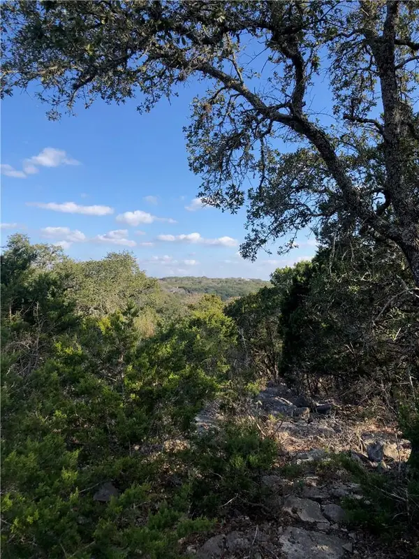 441 Cliffview Cir, Canyon Lake, TX 78133
