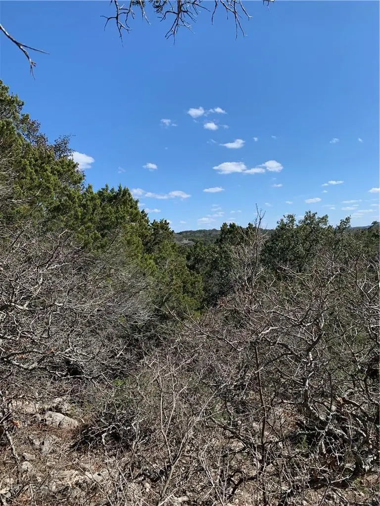 441 Cliffview Cir, Canyon Lake, TX 78133 - #2