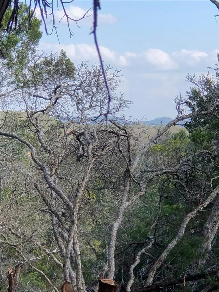 441 Cliffview Cir, Canyon Lake, TX 78133 - #3