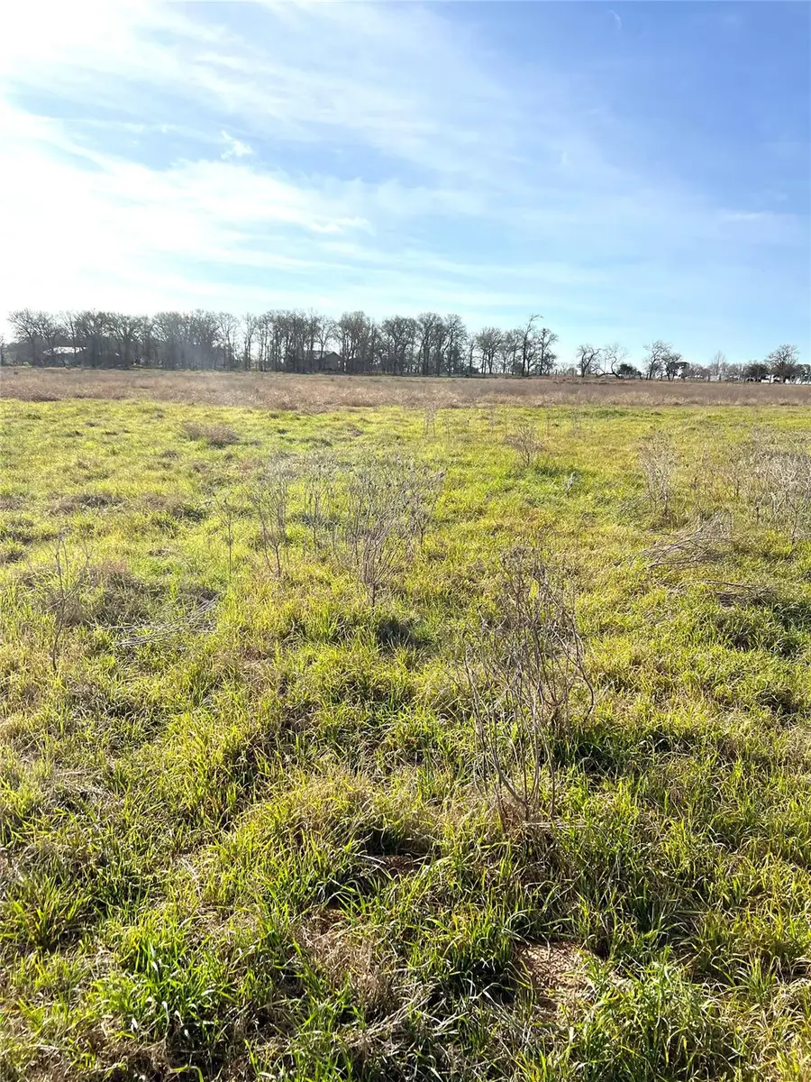 5165 Tenney Creek Rd, Luling, TX 78648 - #3