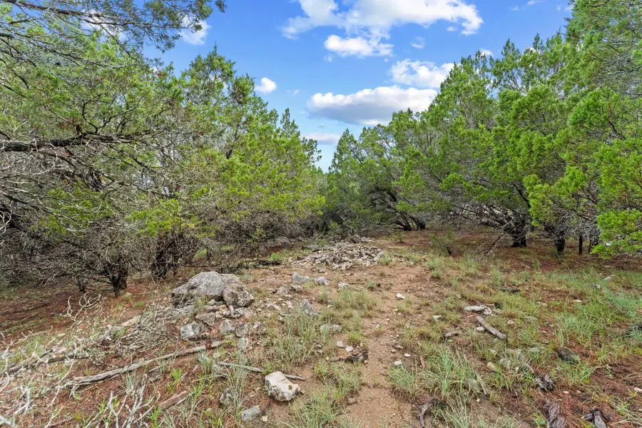 4602 Thunderbird Dr, Lago Vista, TX 78645 - #2