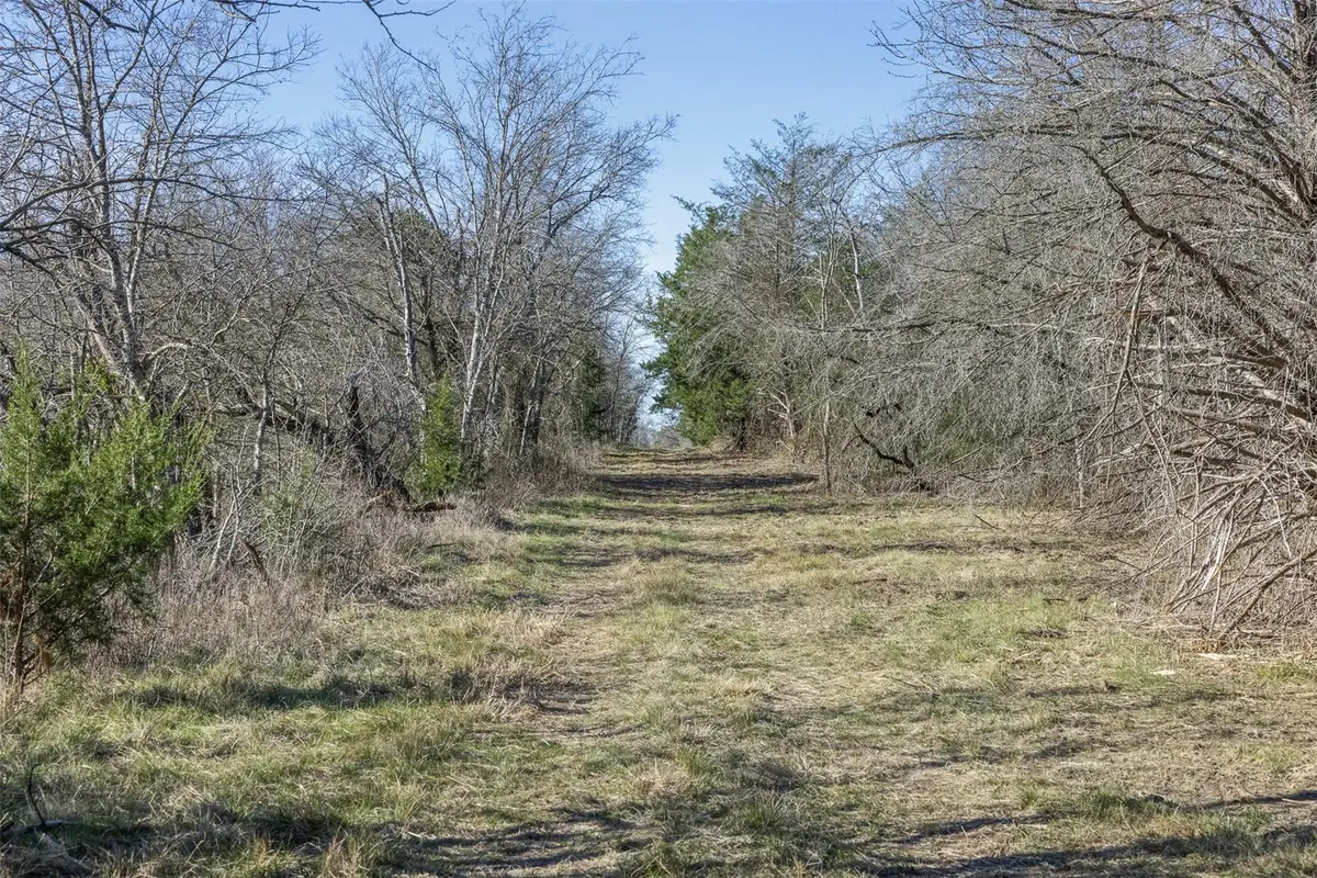 Tract 4 County Road 386, Groesbeck, TX 76642 - Image #1