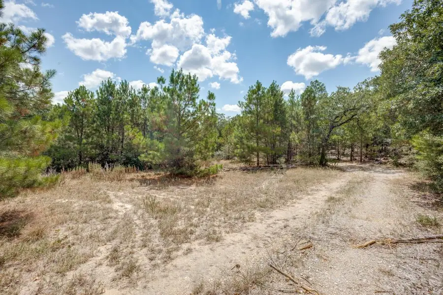 217 Kestrel Ln, Red Rock, TX 78662 - Image #3