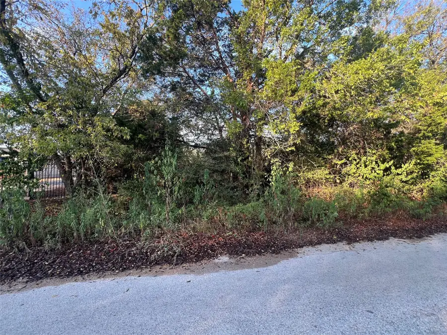 713 E 2nd St, Elgin, TX 78621 - #2