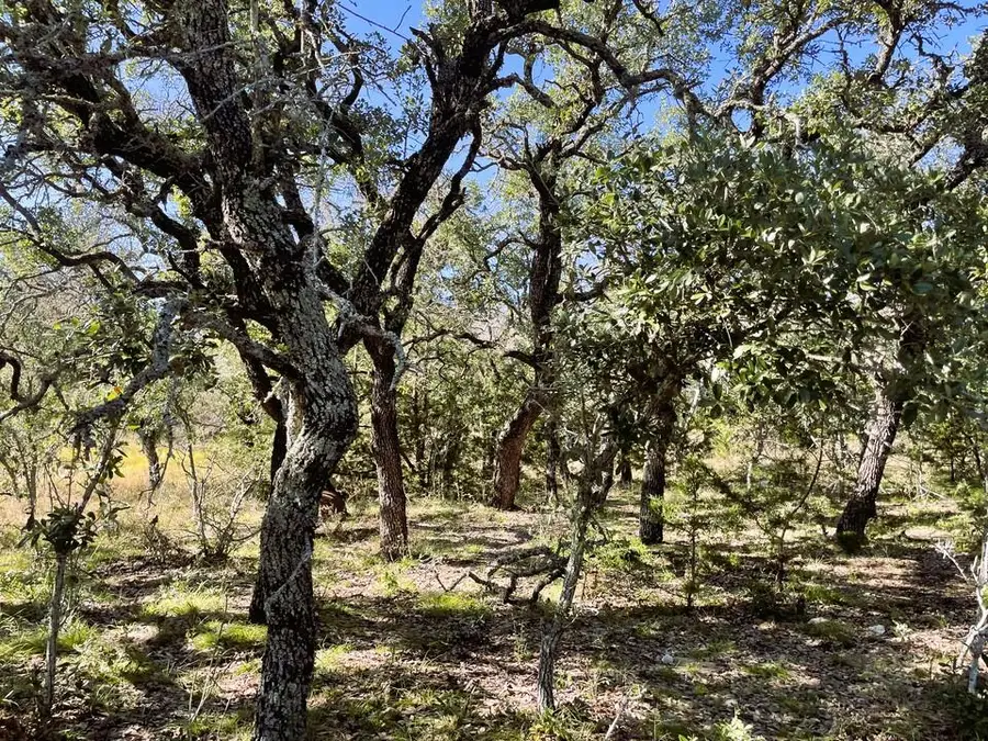 1276 Fm 574 W, Mullin, TX 76864 - Image #2