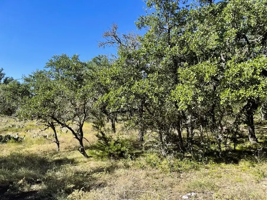 1276 Fm 574 W, Mullin, TX 76864 - Image #3