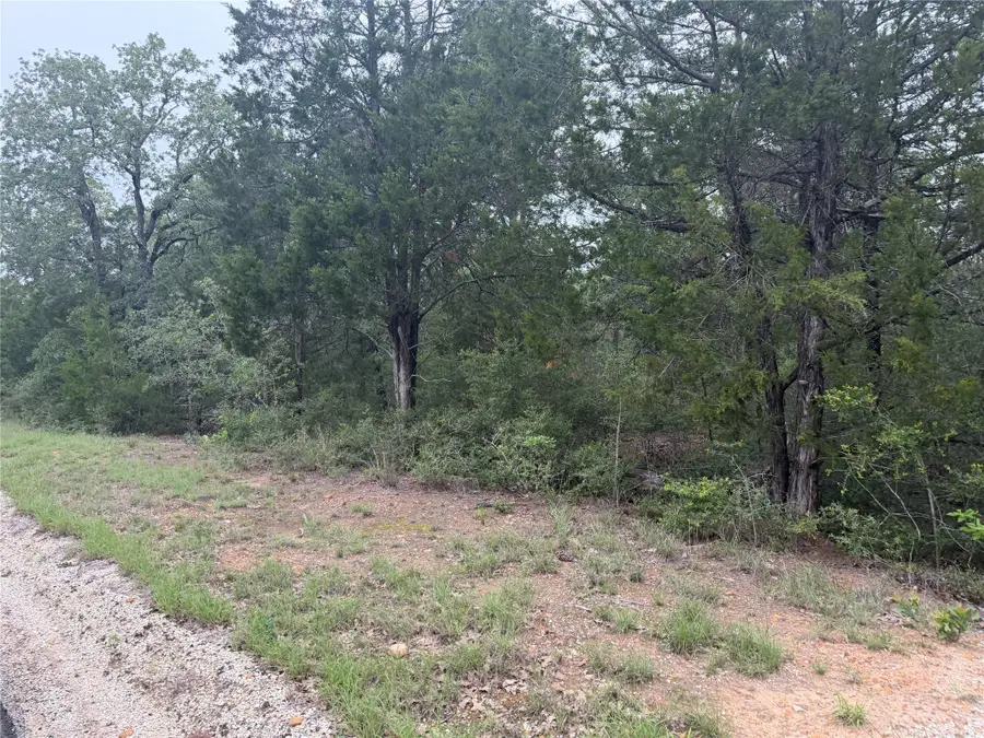 Lot 17 Old Antioch Rd, Smithville, TX 78957 - #3